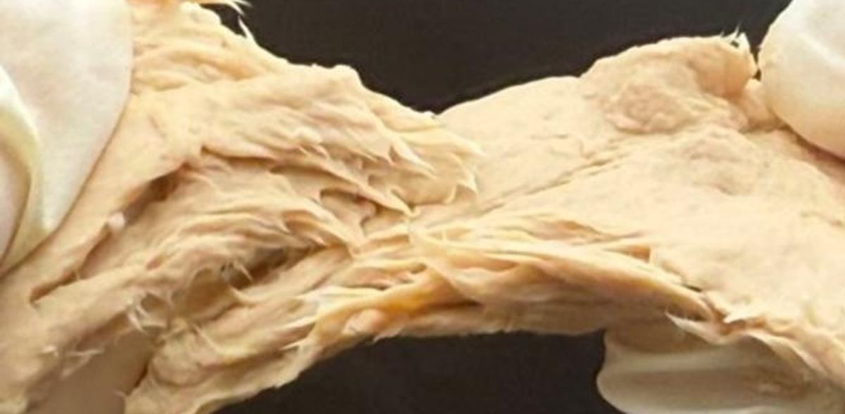 Os fungos geneticamente modificados são ricos em proteínas, sustentáveis e têm um sabor semelhante ao da carne