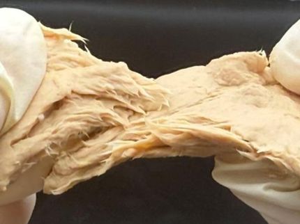 Les champignons génétiquement modifiés sont riches en protéines, durables et ont un goût similaire à celui de la viande