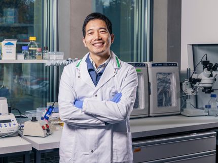 Comment le principe des nouilles au fromage aide à lutter contre la maladie d'Alzheimer