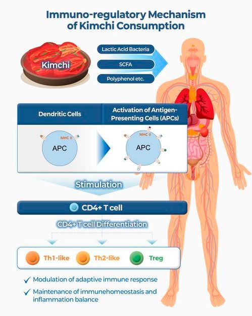 World Institute of Kimchi (WiKim)