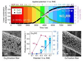 Scientists unveil mechanism behind greener ammonia production