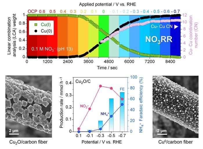 Scientists unveil mechanism behind greener ammonia production