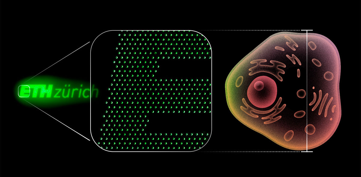 Amanda Paganini / ETH Zürich