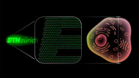 World's smallest light-emitting diode produced