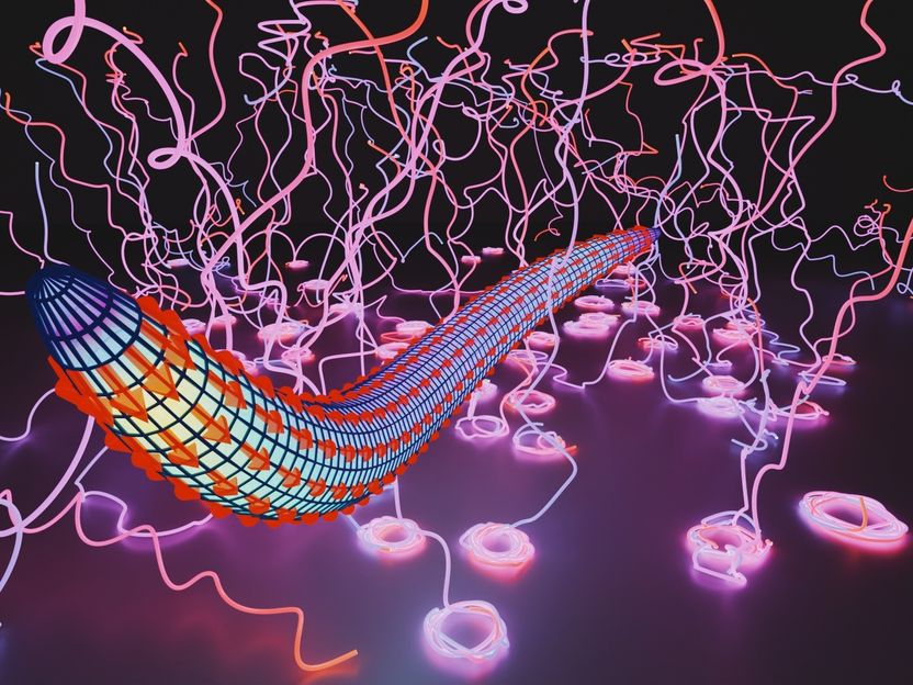 Malaria Parasites Move on Right-Handed Helices - Motion patterns help the transition between tissue compartments