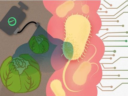 Os pesticidas e outros poluentes químicos comuns são tóxicos para as nossas bactérias intestinais "boas