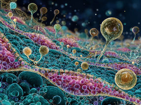 La química se une a la biología: control de membranas celulares artificiales mediante catálisis