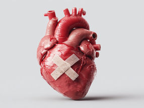 Neue Wirkstoffe für die Therapie von Herzschwäche