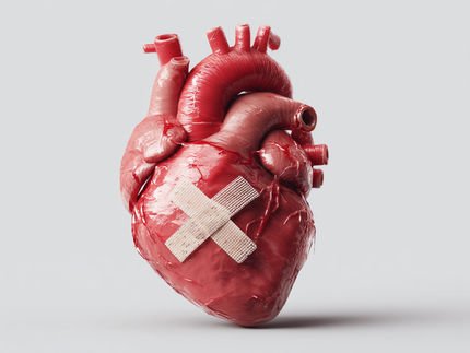 Herz- und Diabeteszentrum Nordrhein-Westfalen