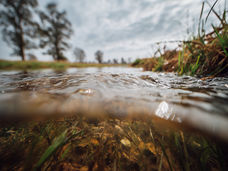 New electrochemical strategy boosts uranium recovery from complex wastewater