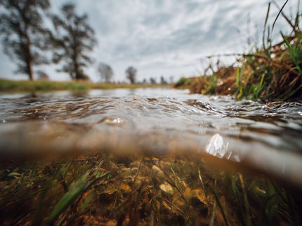 New electrochemical strategy boosts uranium recovery from complex wastewater