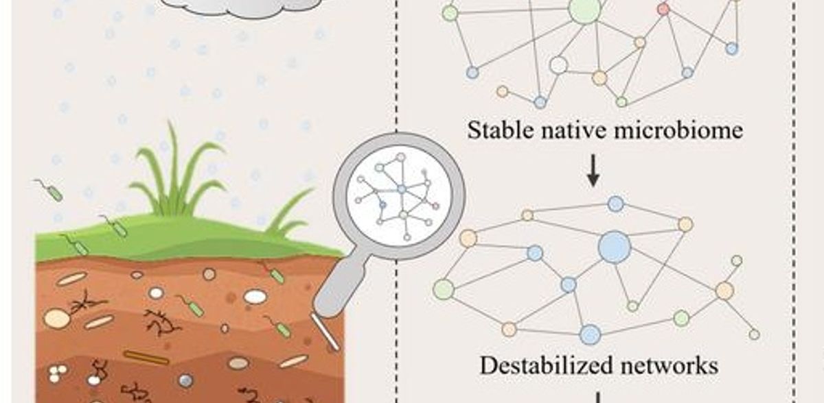 Perigos ocultos nos solos das "chuvas ácidas