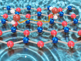 Water molecules in motion: Surprising dynamics on 2D materials
