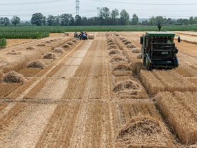Toxic metals in wheat grain: do they come from the soil or the fertilizer?