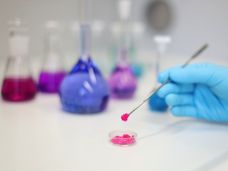 La lignina se convierte en valiosas amidas