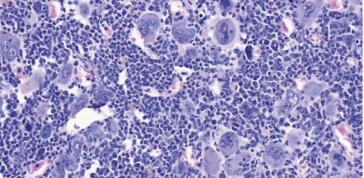 Innere Medizin V / MUI