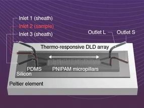 Ein neues abstimmbares Gerät zur Zellsortierung mit potenziellen biomedizinischen Anwendungen | Wissenschaft Tokio