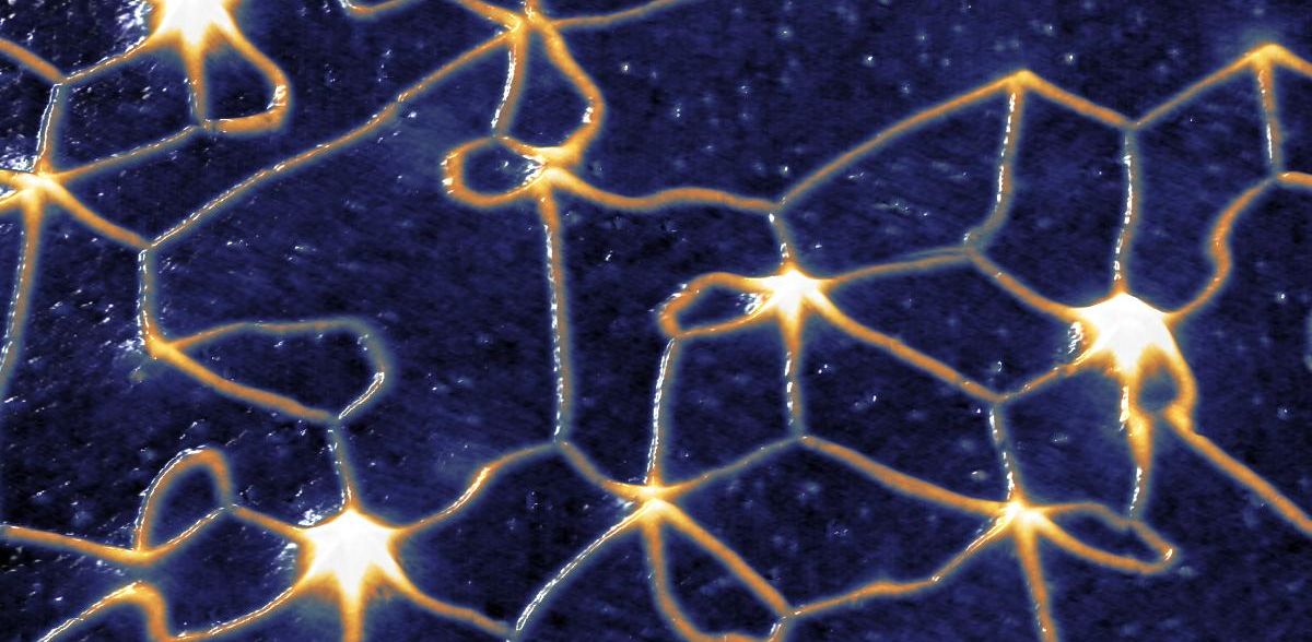 © Andre Kubetzka, Uni Hamburg