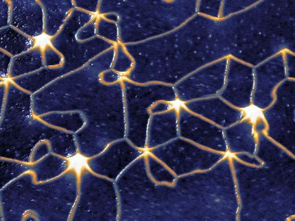 Red antiferromagnética con sentido de giro