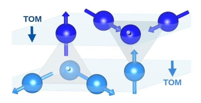 © Mara Gutzeit, Uni Kiel