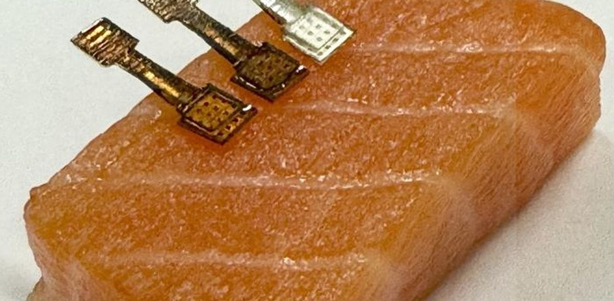 A frescura do peixe é facilmente monitorizada com um novo sensor