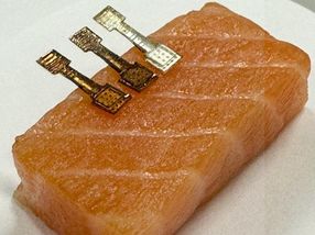 Fish freshness easily monitored with a new sensor