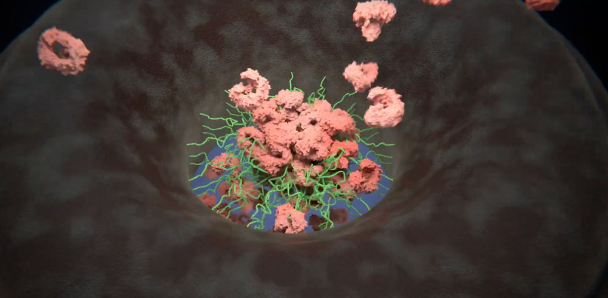 Enrique Sahagun, Scixel