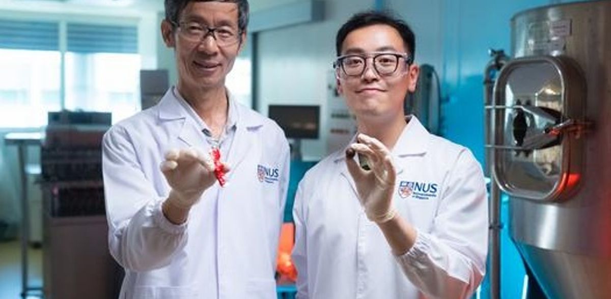 Un tocco più gustoso: gli scienziati migliorano il sapore delle alternative di cioccolato a base di carruba con metodi innovativi