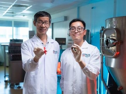 Un tocco più gustoso: gli scienziati migliorano il sapore delle alternative di cioccolato a base di carruba con metodi innovativi