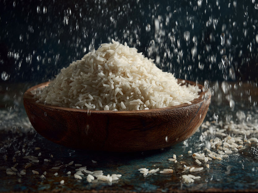 La Universidad de Foshan, pionera en un método con nanopartículas para frenar el cadmio en los cultivos de arroz