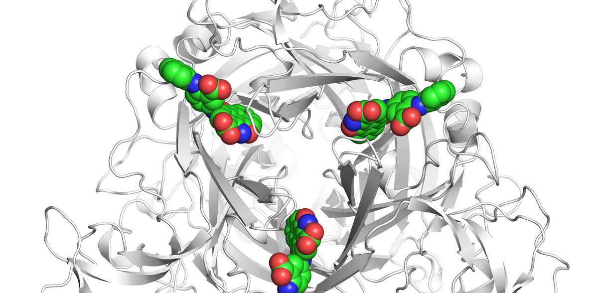 Recetor com "elástico" como ponto de partida para o desenvolvimento de novos medicamentos contra a dor e o cancro