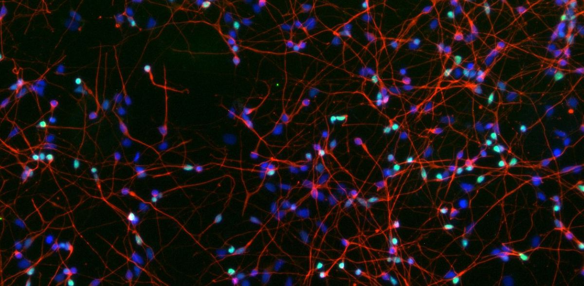 ©Tanja Orschmann & Svenja Lorenz