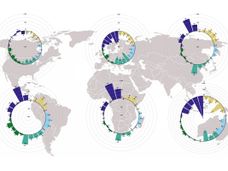 La gestione sostenibile dei parassiti avrebbe effetti positivi in tutto il mondo