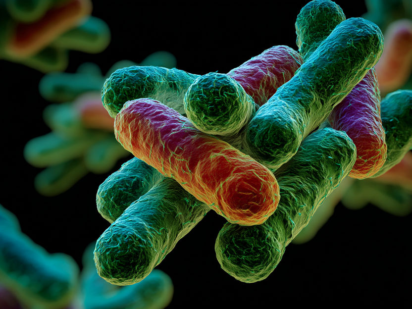 Farmacia: Nuevo fármaco candidato contra los patógenos resistentes de la tuberculosis