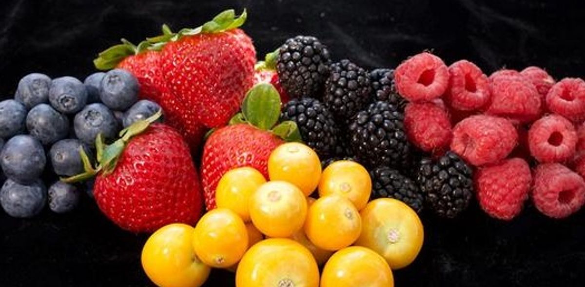 CRISPR prepara o goldenberry para a fama da fruteira