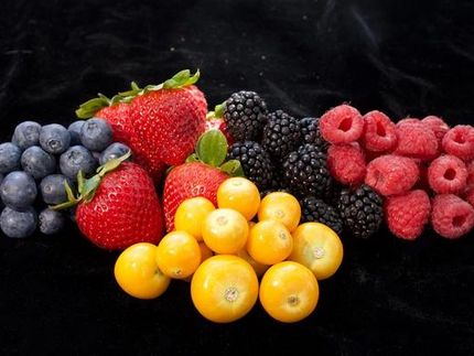 CRISPR prépare la goldenberry à la gloire des coupes de fruits