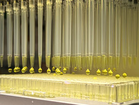 El ácido fórmico en el punto de mira