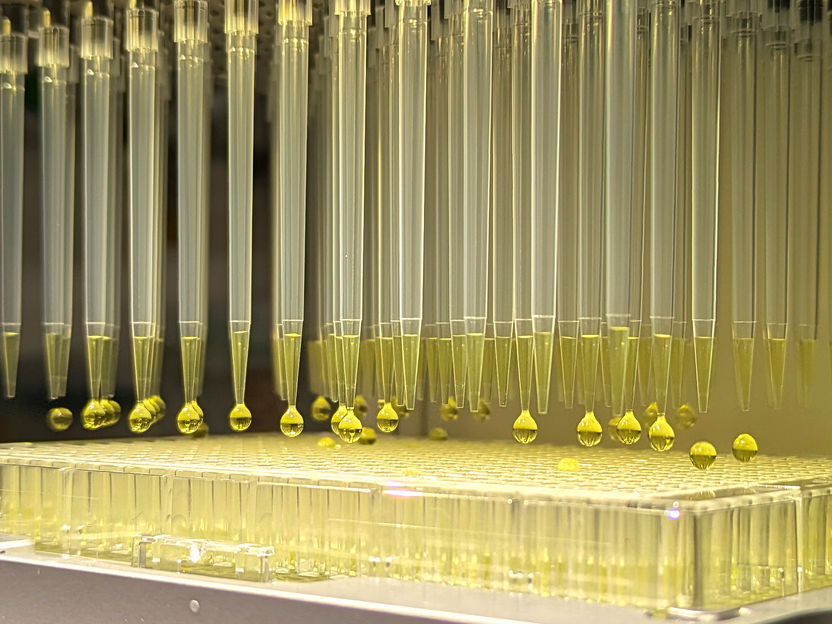 Franka Eiche / Copyright: MPI für terrestrische Mikrobiologie