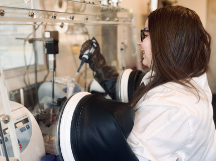 Reaparición de las bifenomicinas