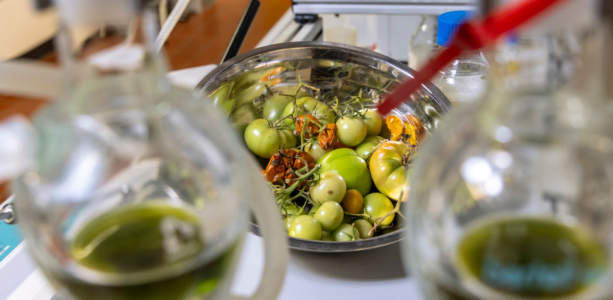 Copyright: Lunghammer - TU Graz