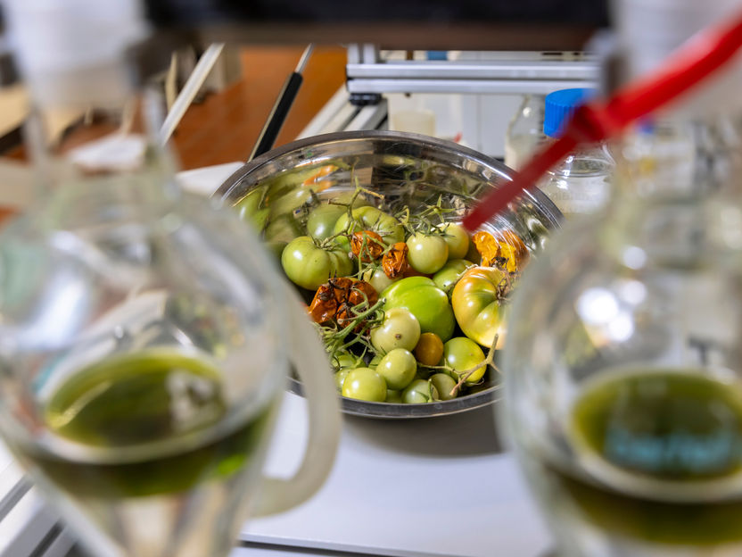 Du carburant pour avion à partir de restes de tomates - L'université technique de Graz coordonne un projet visionnaire de l'UE