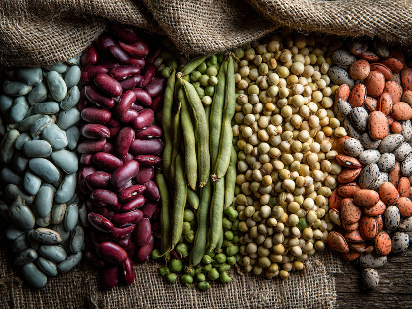 Il crescente interesse per la nutrizione sostenibile incontra le lacune della conoscenza