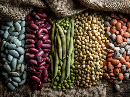 Wachsendes Interesse an nachhaltiger Ernährung trifft auf Wissenslücken