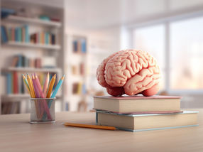 Observación del comportamiento de las células cerebrales durante el aprendizaje