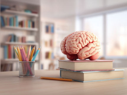 Wie Gehirnzellen beim Lernen beobachtet werden können