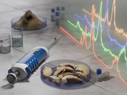 ¿Son realmente saludables las nueces de Brasil?