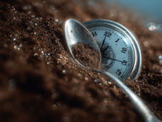 Machine à remonter le temps tropicale : avec une cuillère à café de boue, retour dans le passé