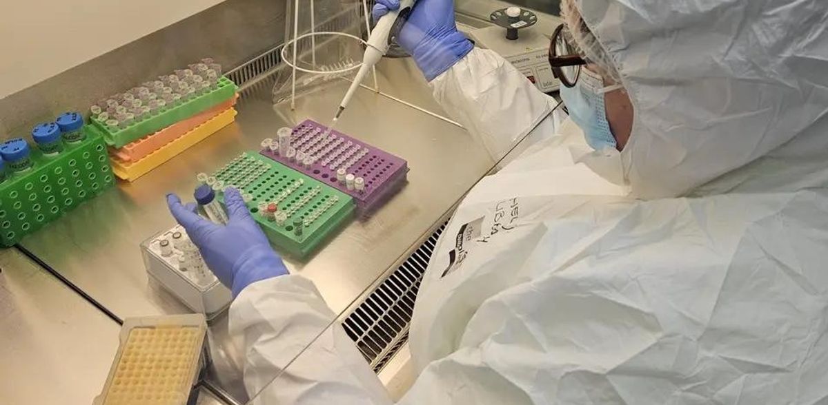 Os primeiros genomas de herpesvírus humanos antigos documentam a sua profunda história com os humanos