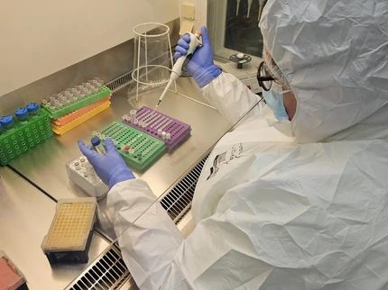 Les premiers génomes anciens d'herpèsvirus humains témoignent de leur longue histoire avec l'homme