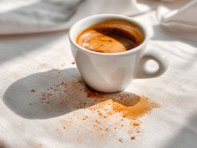 Coffee as a Staining Agent Substitute in Electron Microscopy